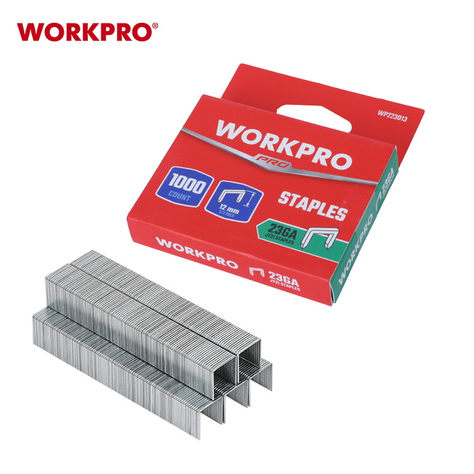 WP223013 1 1